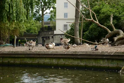 DSC_2743 (Large).JPG